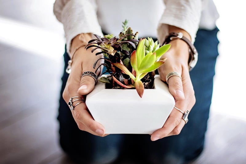Hanging plant pots
